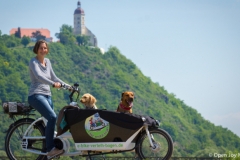 Ebike mit Hunden