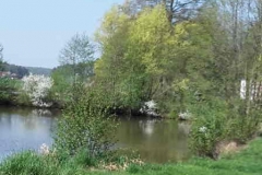 Der Frühling läßt grüßen