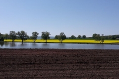 Der Frühling läßt grüßen2