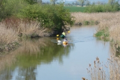 Paddler auf der Altmühl