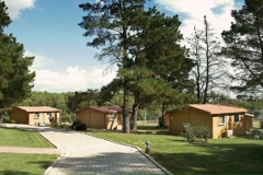 k-I_Girasoli-Lucignano-Garten