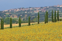 k-Landschaft Toskana