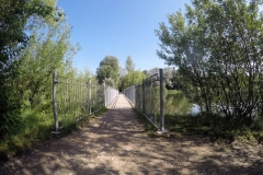 k-G0091161