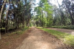 k-G0091287