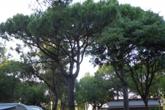 Campingplatz