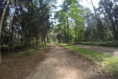 Am Brombachsee Radweg2
